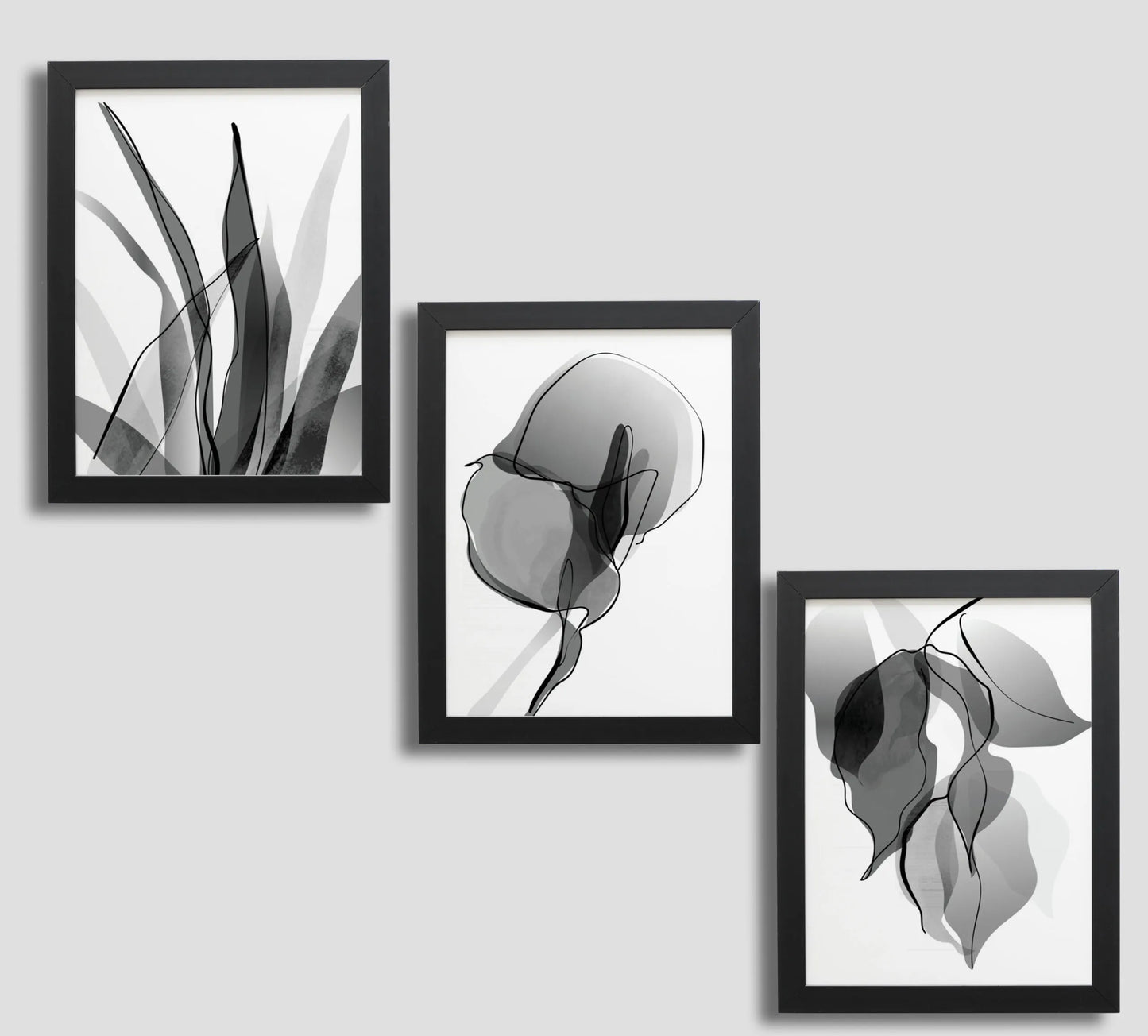 Simplicity Redefined: Black and White Leaves